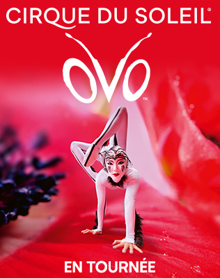 Cirque du Soleil - OVO